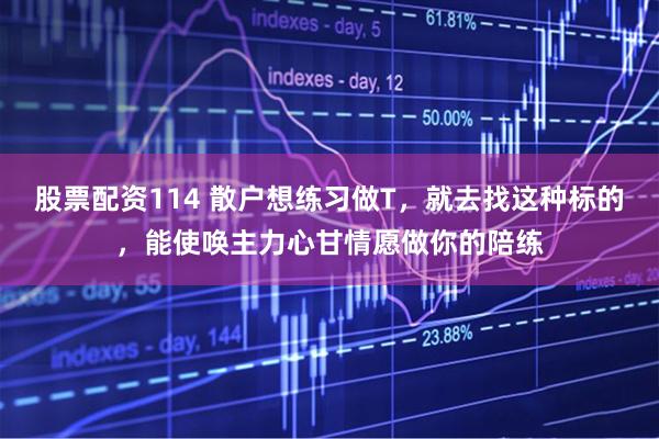 股票配资114 散户想练习做T，就去找这种标的，能使唤主力心甘情愿做你的陪练