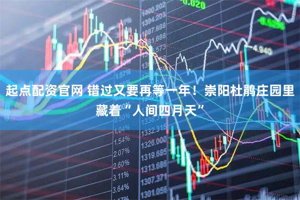 起点配资官网 错过又要再等一年！崇阳杜鹃庄园里藏着“人间四月天”