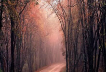 新宝配资app下载:股票杠杆在哪里办理-美国人欢度劳动节之际警钟响起：超120万移民劳动力大军消失！